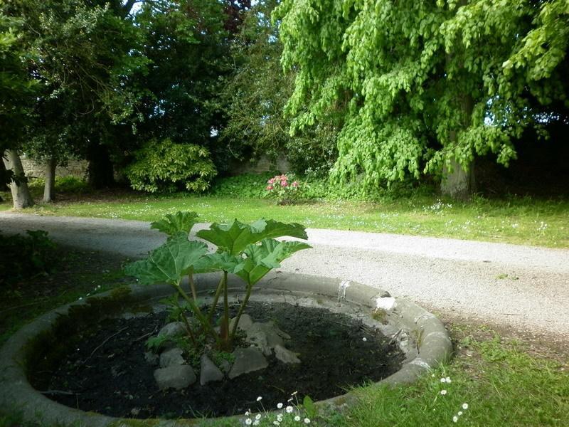 Manoir De La Baronnie Bed & Breakfast Saint-Malo Bagian luar foto