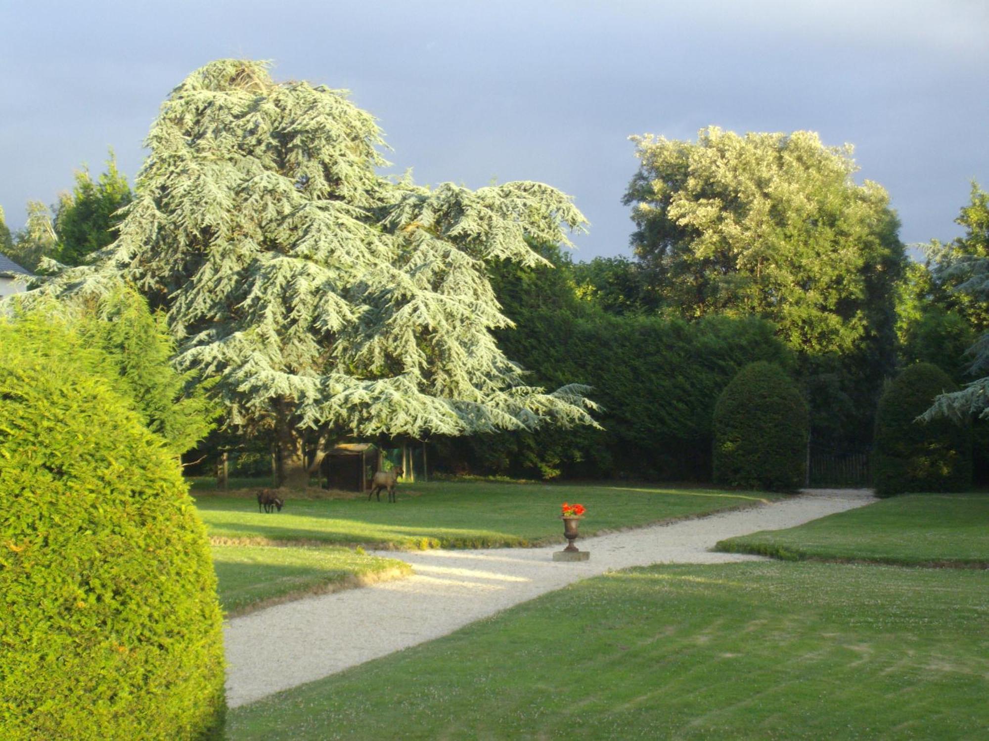 Manoir De La Baronnie Bed & Breakfast Saint-Malo Bagian luar foto